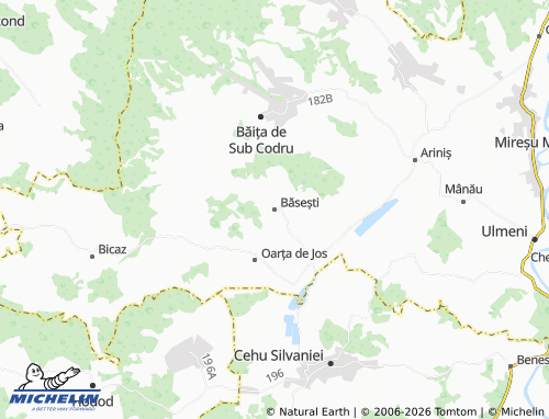 MICHELIN Băsești map - ViaMichelin