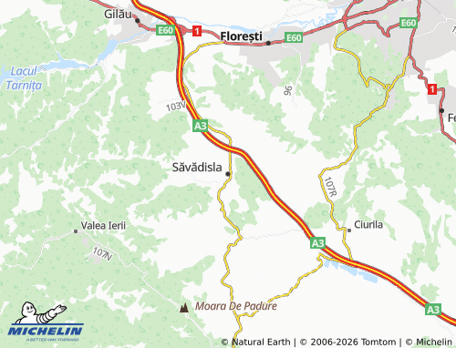 Mappa MICHELIN Săvădisla - ViaMichelin