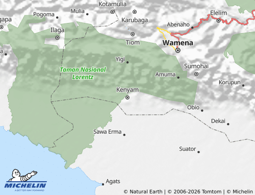 Mapa MICHELIN Nduga - ViaMichelin
