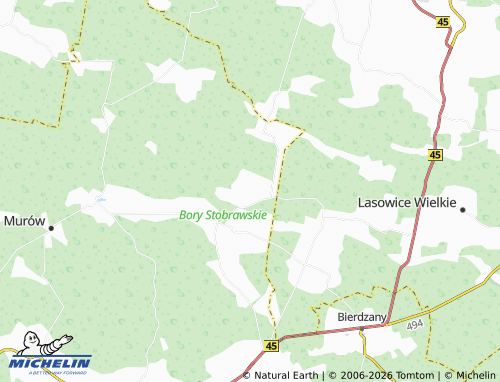 Mapa MICHELIN Dębiniec - ViaMichelin
