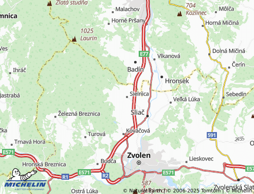 MICHELIN Sielnica map - ViaMichelin