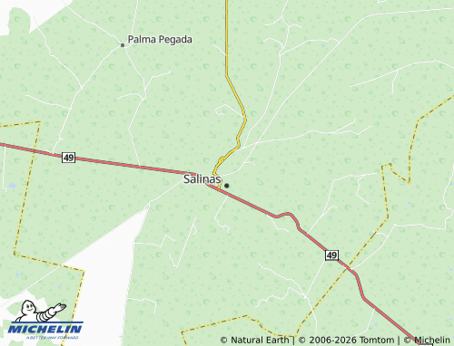 Mapa MICHELIN San Isidro - ViaMichelin