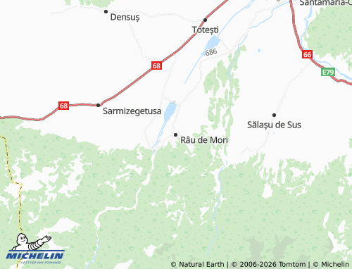 Mappa MICHELIN Râu de Mori - ViaMichelin