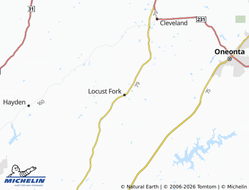 Carte MICHELIN Locust Fork - ViaMichelin