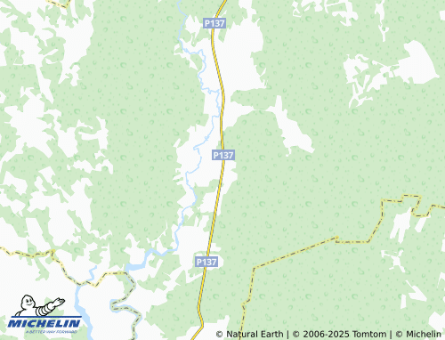 MICHELIN Shat'kovo map - ViaMichelin