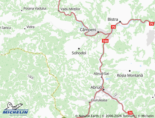 MICHELIN Nicorești map - ViaMichelin