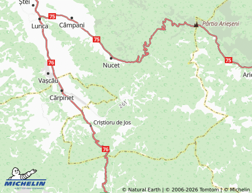 Mappa MICHELIN Poiana - ViaMichelin