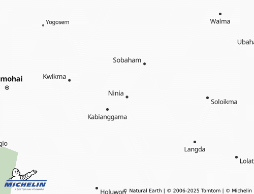 Carte MICHELIN Ninia - ViaMichelin