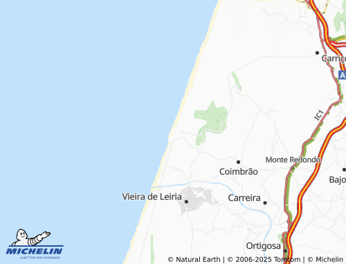 Carte MICHELIN Pedrógão - ViaMichelin