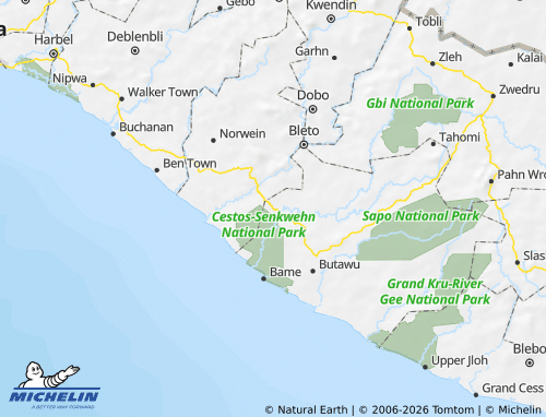 Mapa MICHELIN Sanquin District 1 - ViaMichelin