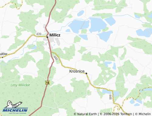 Carte MICHELIN Wąbnice - ViaMichelin