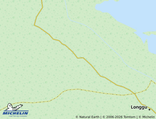 MICHELIN Guting map - ViaMichelin