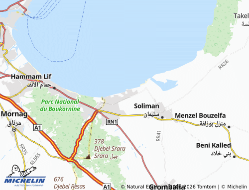MICHELIN Seedi al-Jami map - ViaMichelin