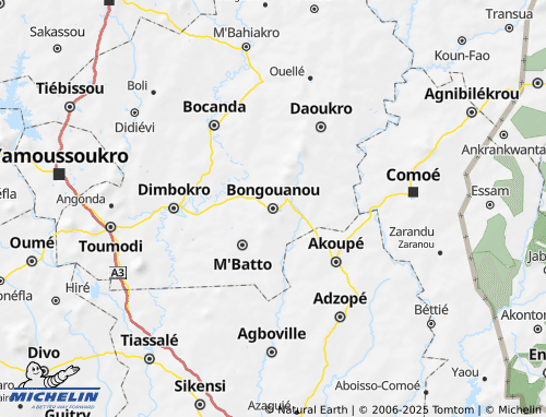 MICHELIN Bongouanou map - ViaMichelin