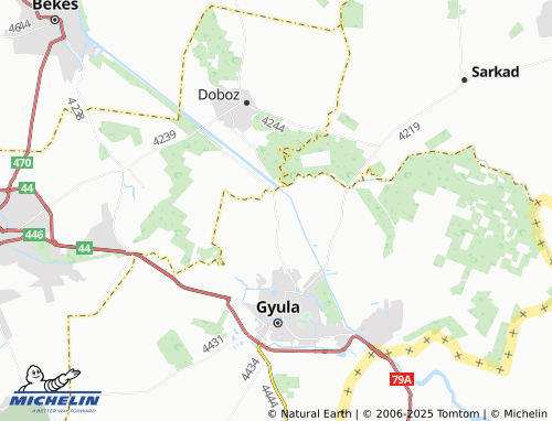 MICHELIN Szeregyháza map - ViaMichelin