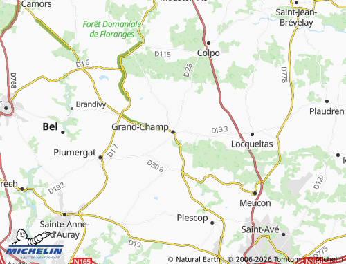 Mappa MICHELIN Grand-Champ - ViaMichelin