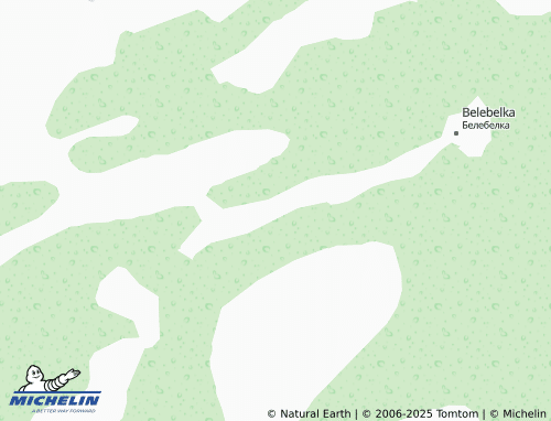 MICHELIN Velikoye Selo map - ViaMichelin