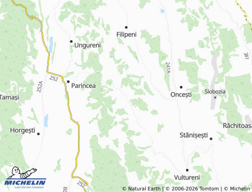 MICHELIN Năstăseni map - ViaMichelin