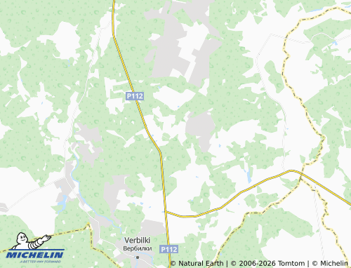 Carte MICHELIN Guslevo - ViaMichelin