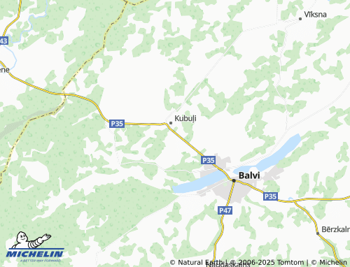 MICHELIN Druvenieki map - ViaMichelin