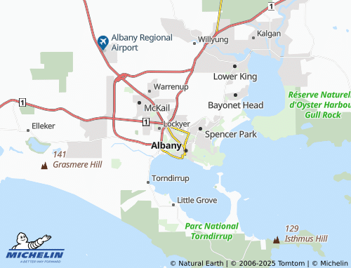 MICHELIN Centennial Park map - ViaMichelin