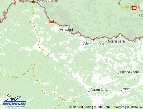 Kaart MICHELIN Biharia - ViaMichelin