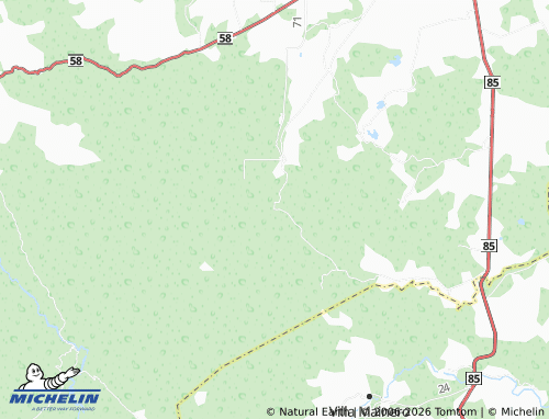 Mappa MICHELIN San Francisco Tenamaxtle - ViaMichelin