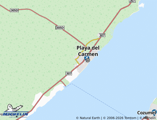 Mappa MICHELIN Forjadores del Ejido - ViaMichelin