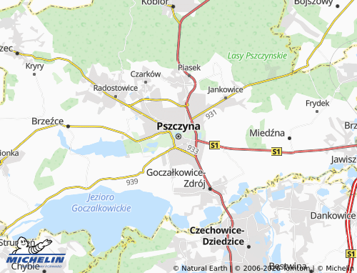 Mappa MICHELIN Pszczyna - ViaMichelin