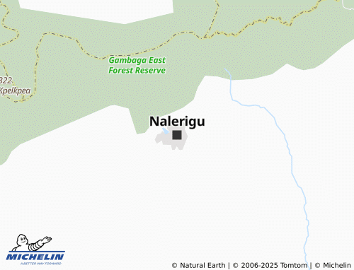 MICHELIN Nalerigu map - ViaMichelin