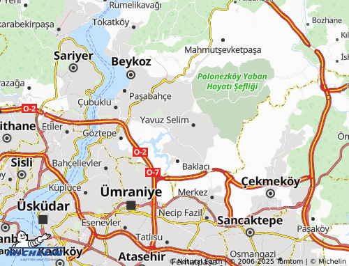 MICHELIN Çiftlik map - ViaMichelin