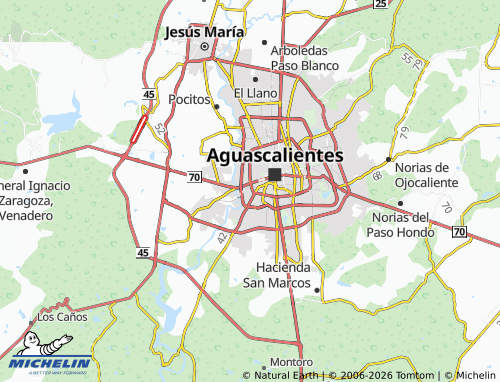 Mappa MICHELIN Hermanos Carreón - ViaMichelin