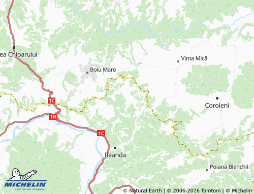 MICHELIN Șasa map - ViaMichelin