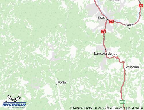 MICHELIN Luncșoara map - ViaMichelin