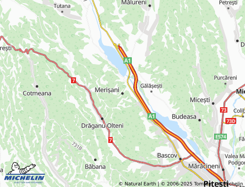 MICHELIN Merișani map - ViaMichelin