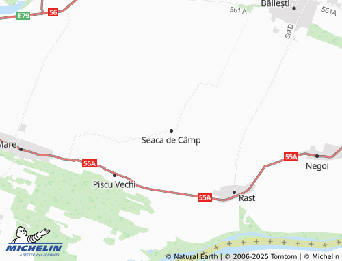 MICHELIN Seaca de Câmp map - ViaMichelin