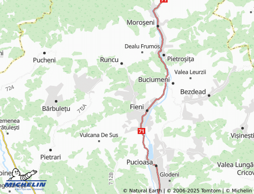 MICHELIN Costești map - ViaMichelin
