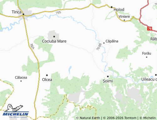 MICHELIN Cărăsău map - ViaMichelin