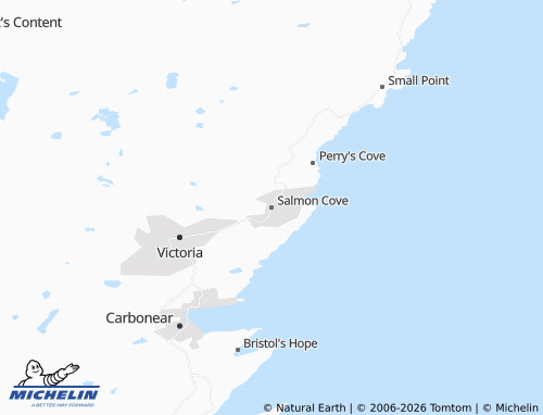 Mapa MICHELIN Salmon Cove - ViaMichelin