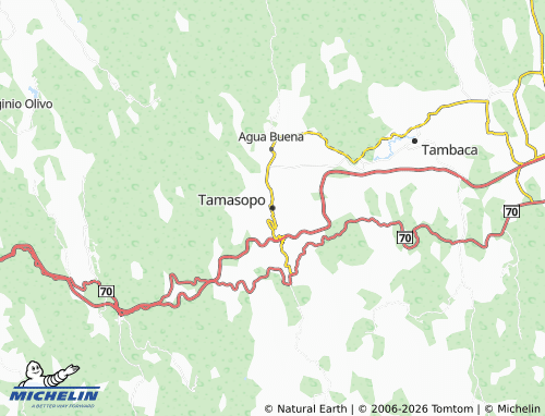 MICHELIN-Landkarte Tamasopo - ViaMichelin
