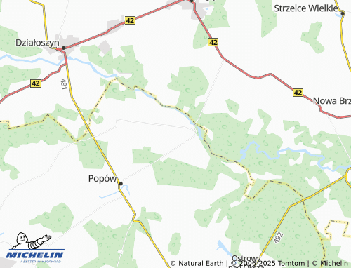 MICHELIN Wąsosz Dolny map - ViaMichelin