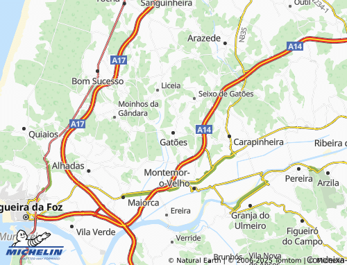 MICHELIN Gatões map - ViaMichelin