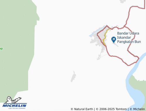 Carte MICHELIN Mendawai - ViaMichelin