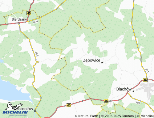 MICHELIN Łąka map - ViaMichelin