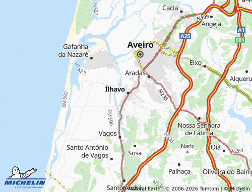 Carte MICHELIN Ílhavo (São Salvador) - ViaMichelin