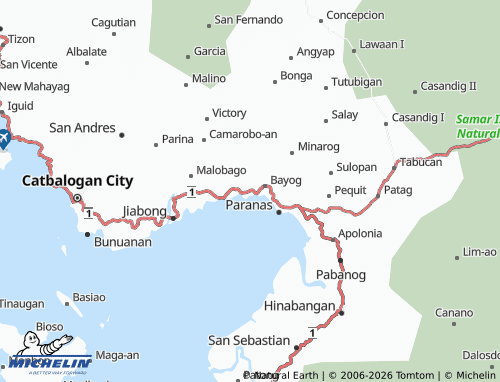 MICHELIN Oyandic map - ViaMichelin