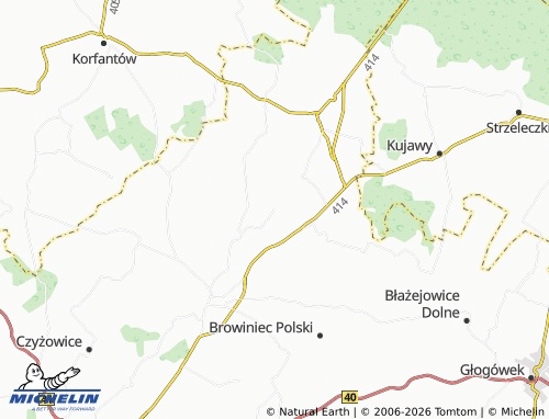 MICHELIN Radostynia map - ViaMichelin