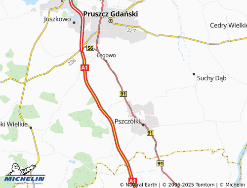 MICHELIN Różyny map - ViaMichelin