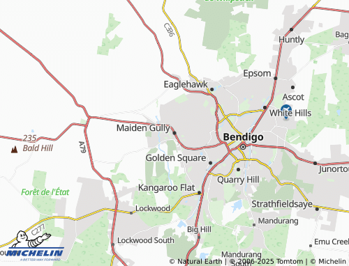 MICHELIN Maiden Gully map - ViaMichelin