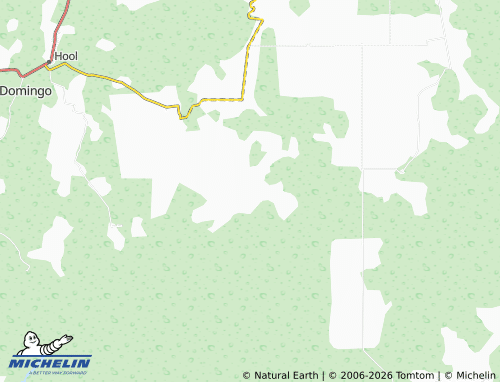 Mapa MICHELIN Nuevo Michoacán - ViaMichelin